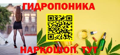 стаф Ливны